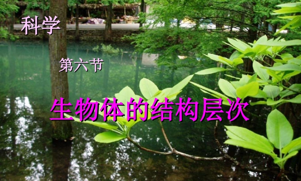 【新教材】七年级科学上册 第二章第二节器官和系统课件 浙教版