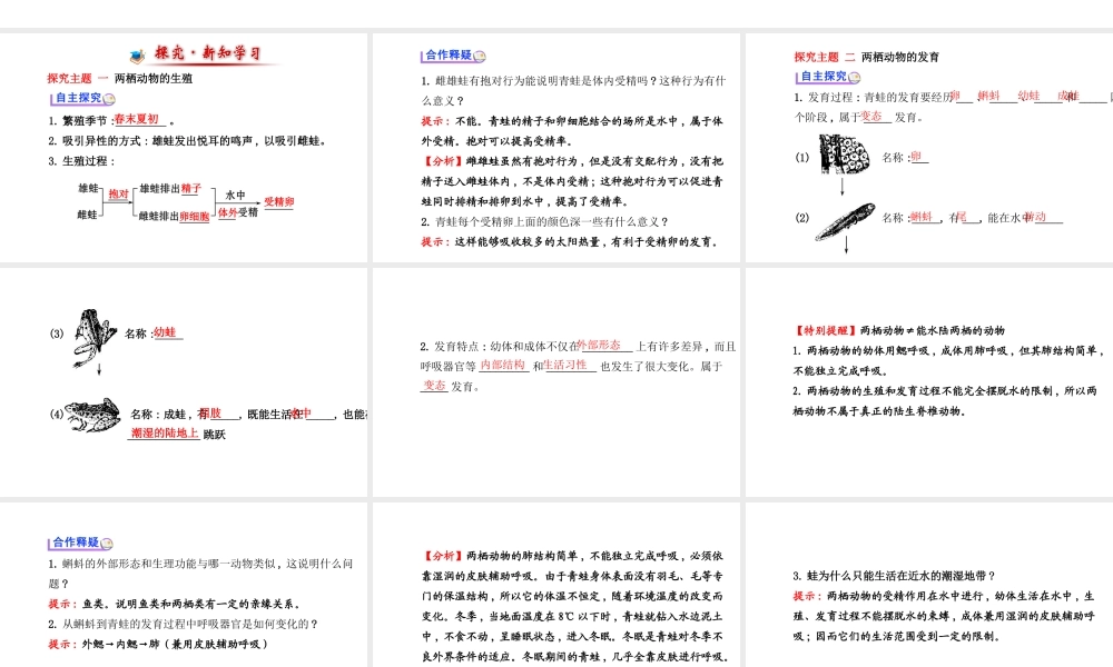 【金榜学案】2014八年级生物上册 第四单元 第二章 第二节 两栖动物的生殖和发育课件 济南版