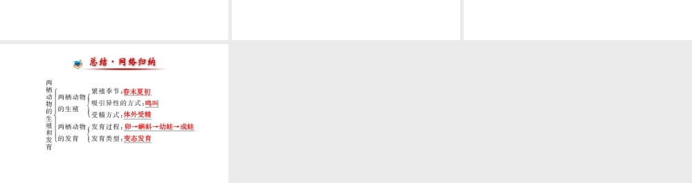 【金榜学案】2014八年级生物上册 第四单元 第二章 第二节 两栖动物的生殖和发育课件 济南版