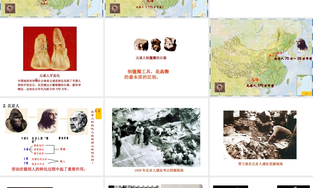 【学练优】（2016年秋季版）七年级历史上册 第一单元 第1课 北京人教学课件 华东师大版