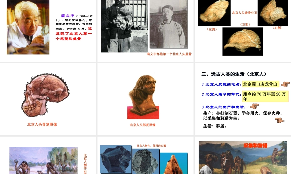 【学练优】（2016年秋季版）七年级历史上册 第一单元 第1课 北京人教学课件 华东师大版