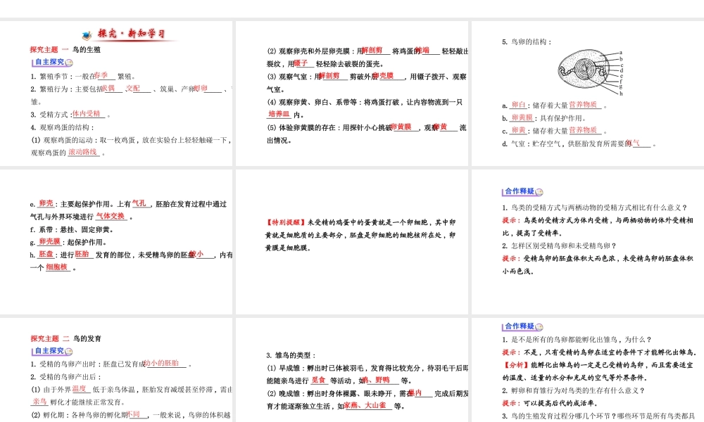 【金榜学案】2014八年级生物上册 第四单元 第二章 第三节 鸟的生殖和发育课件 济南版
