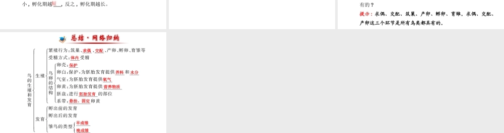 【金榜学案】2014八年级生物上册 第四单元 第二章 第三节 鸟的生殖和发育课件 济南版