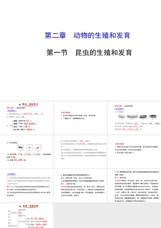 【金榜学案】2014八年级生物上册 第四单元 第二章 第一节 昆虫的生殖和发育课件 济南版