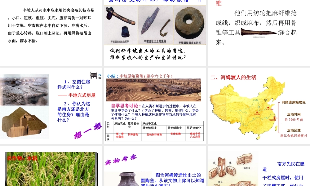 【学练优】（2016年秋季版）七年级历史上册 第一单元 第2课 原始农业的产生课件