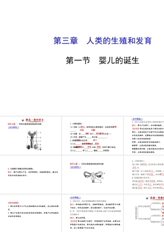 【金榜学案】2014八年级生物上册 第四单元 第三章 第一节 婴儿的诞生课件1 济南版