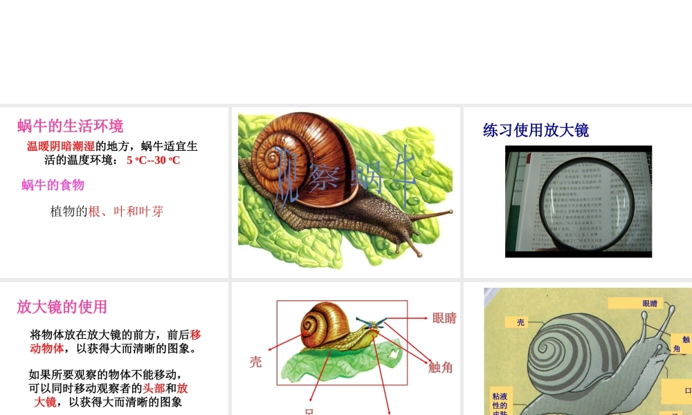 【名校课时通】2013-2014学年七年级科学上册 第2章 观察生物 第1节 生物与非生物课件 浙教版