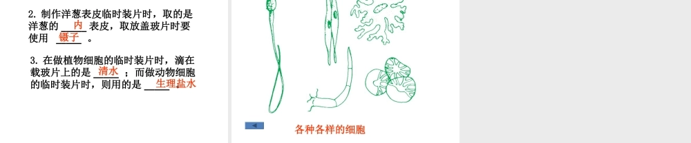 【名校课时通】2013-2014学年七年级科学上册 第2章 观察生物 第2节 细胞 显微镜的使用课件 浙教版