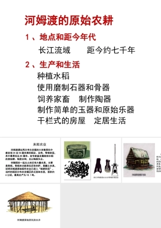 【学练优】（秋级历史上册 第一单元 第2课 原始农业的产生 河姆渡原始居民的生活课件 华东师大版