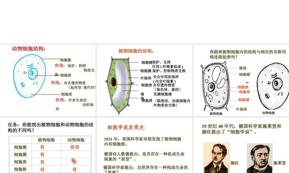 【名校课时通】2013-2014学年七年级科学上册 第2章 观察生物 第2节 细胞课件 浙教版