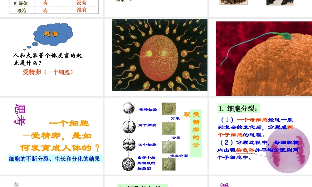 【名校课时通】2013-2014学年七年级科学上册 第2章 观察生物 第2节 细胞课件 浙教版