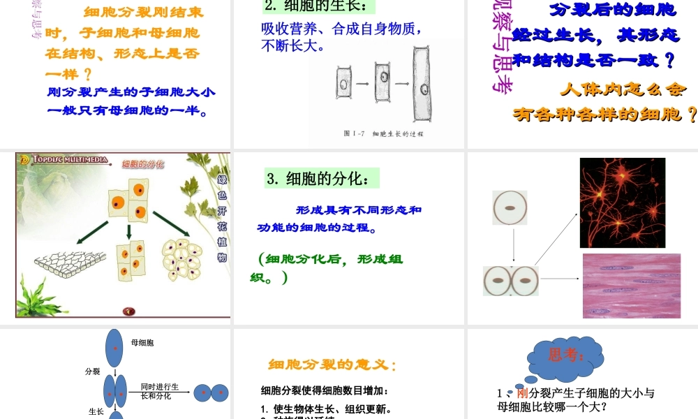 【名校课时通】2013-2014学年七年级科学上册 第2章 观察生物 第2节 细胞课件 浙教版