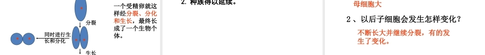 【名校课时通】2013-2014学年七年级科学上册 第2章 观察生物 第2节 细胞课件 浙教版
