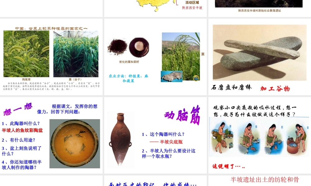 【学练优】（秋级历史上册 第一单元 第2课 原始农业的产生课件