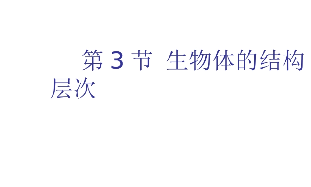 【名校课时通】2013-2014学年七年级科学上册 第2章 观察生物 第3节 生物体的结构层次（1）课件 浙教版