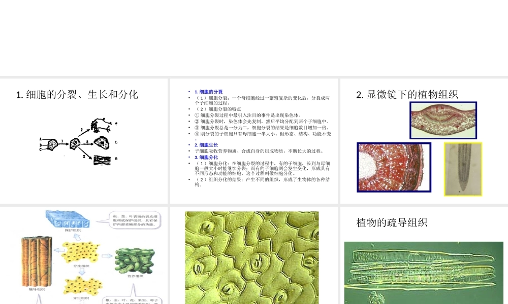 【名校课时通】2013-2014学年七年级科学上册 第2章 观察生物 第3节 生物体的结构层次（1）课件 浙教版