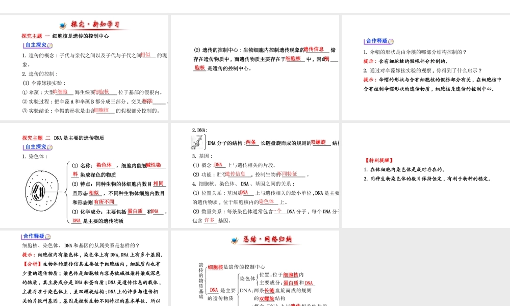 【金榜学案】2014八年级生物上册 第四单元 第四章 第一节 遗传的物质基础课件 济南版