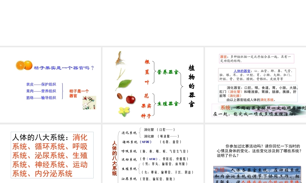 【名校课时通】2013-2014学年七年级科学上册 第2章 观察生物 第3节 生物体的结构层次（2）课件 浙教版