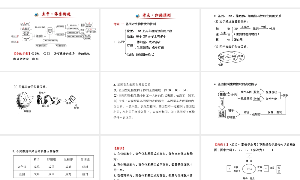 【金榜学案】2014八年级生物上册 第四单元 第四章 生物的遗传和变异复习课件 济南版