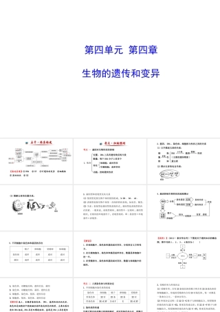 【金榜学案】2014八年级生物上册 第四单元 第四章 生物的遗传和变异复习课件 济南版