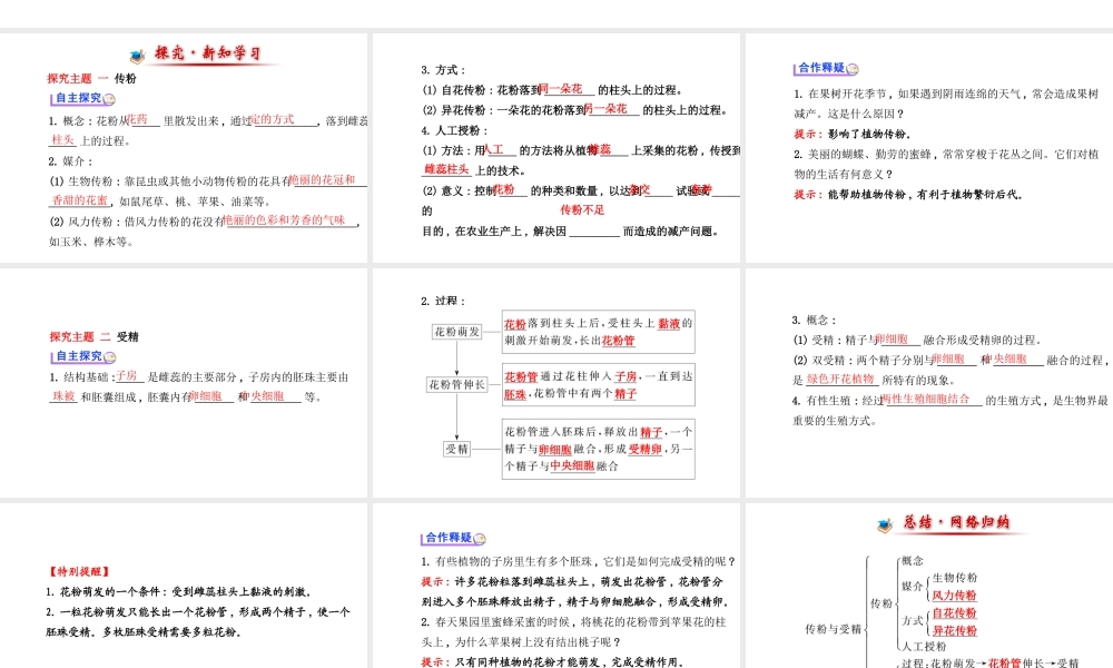 【金榜学案】2014八年级生物上册 第四单元 第一章 第二节 传粉与受精课件 济南版