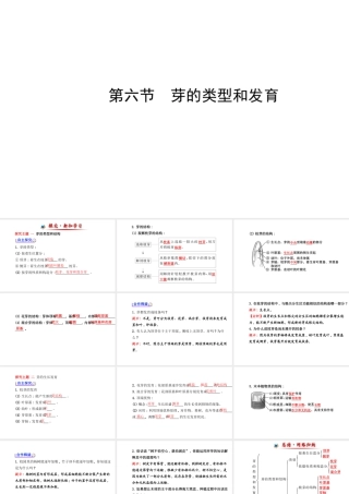 【金榜学案】2014八年级生物上册 第四单元 第一章 第六节 芽的类型和发育课件 济南版