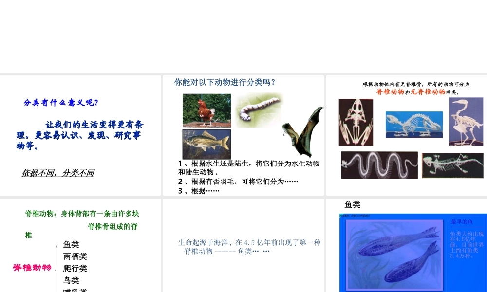 【名校课时通】2013-2014学年七年级科学上册 第2章 观察生物 第4节 常见的动物（1）课件 浙教版