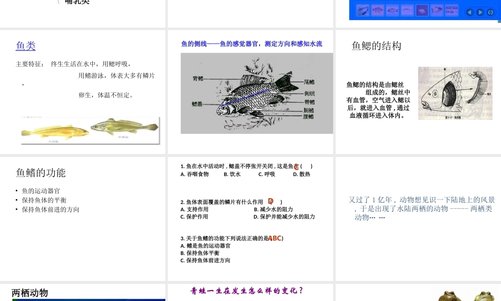 【名校课时通】2013-2014学年七年级科学上册 第2章 观察生物 第4节 常见的动物（1）课件 浙教版