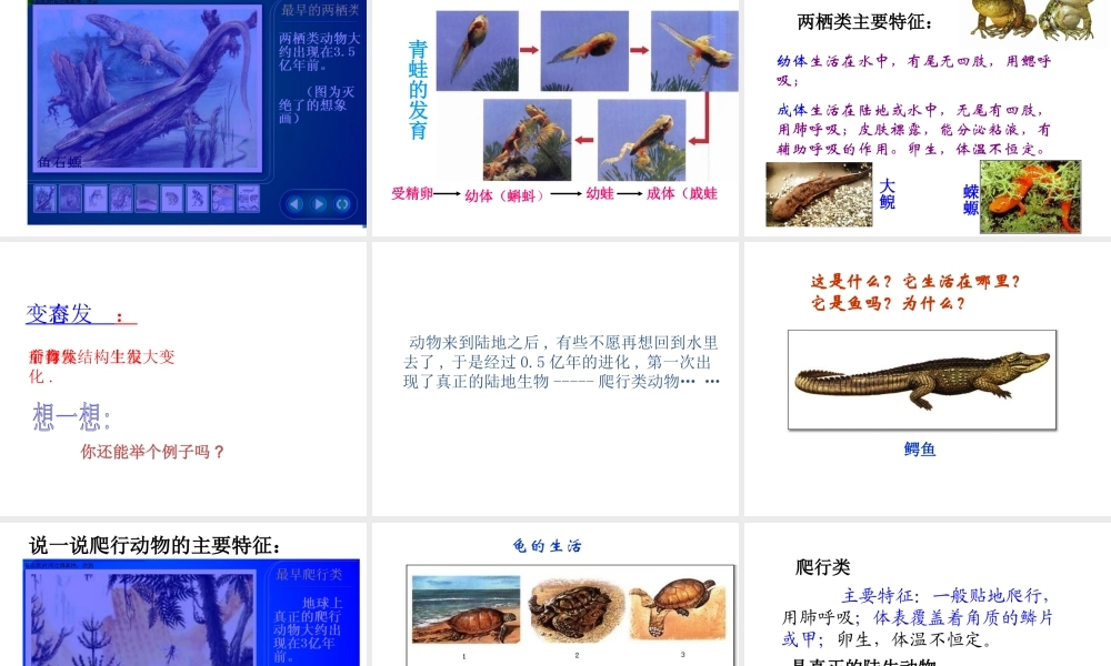 【名校课时通】2013-2014学年七年级科学上册 第2章 观察生物 第4节 常见的动物（1）课件 浙教版