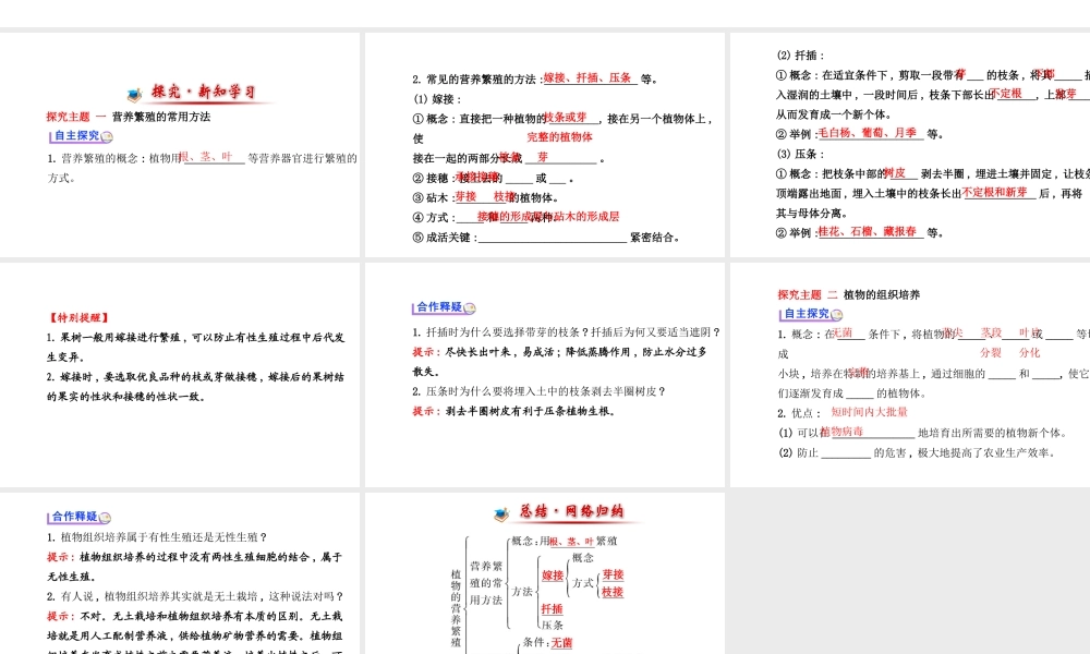 【金榜学案】2014八年级生物上册 第四单元 第一章 第七节 植物的营养繁殖课件 济南版