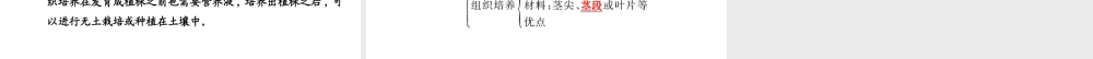 【金榜学案】2014八年级生物上册 第四单元 第一章 第七节 植物的营养繁殖课件 济南版