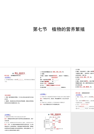 【金榜学案】2014八年级生物上册 第四单元 第一章 第七节 植物的营养繁殖课件 济南版