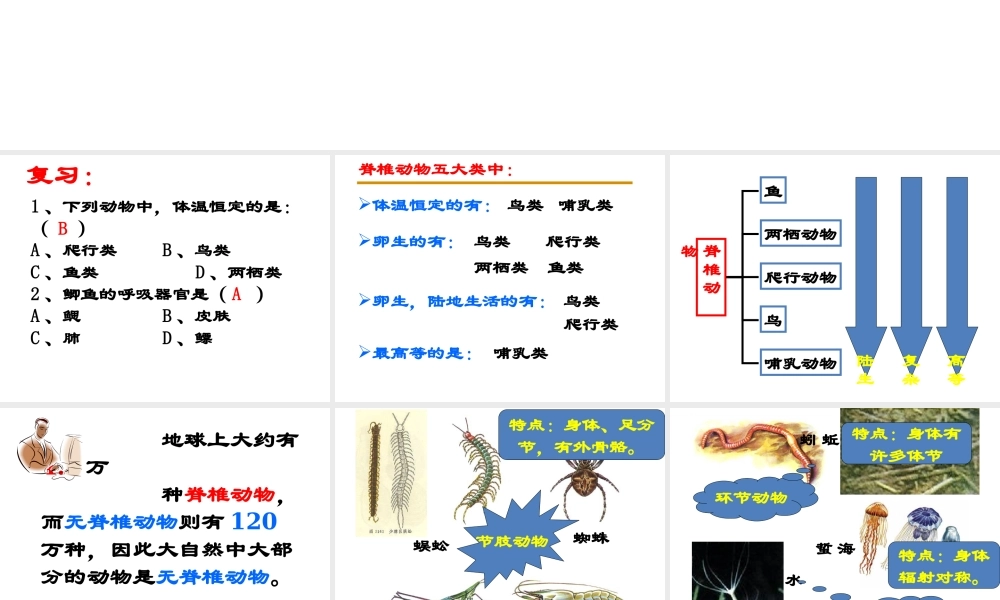 【名校课时通】2013-2014学年七年级科学上册 第2章 观察生物 第4节 常见的动物（2）课件 浙教版