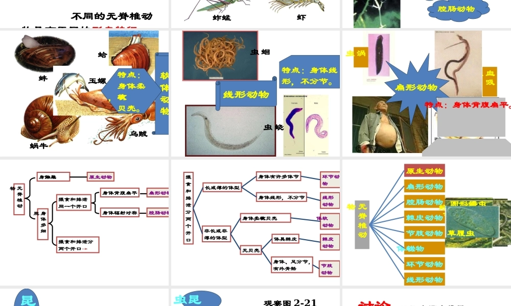 【名校课时通】2013-2014学年七年级科学上册 第2章 观察生物 第4节 常见的动物（2）课件 浙教版