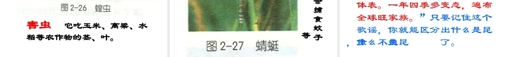 【名校课时通】2013-2014学年七年级科学上册 第2章 观察生物 第4节 常见的动物（2）课件 浙教版