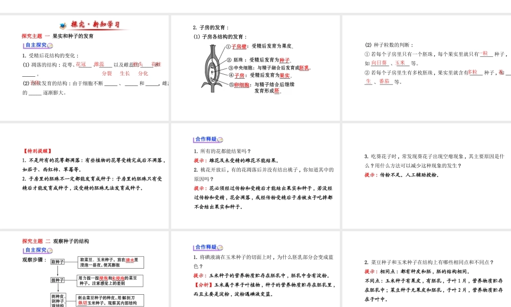 【金榜学案】2014八年级生物上册 第四单元 第一章 第三节 果实和种子的形成课件 济南版