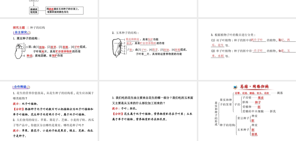 【金榜学案】2014八年级生物上册 第四单元 第一章 第三节 果实和种子的形成课件 济南版