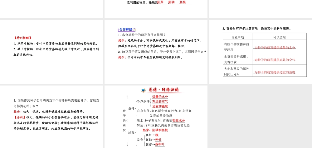 【金榜学案】2014八年级生物上册 第四单元 第一章 第四节 种子的萌发课件 济南版