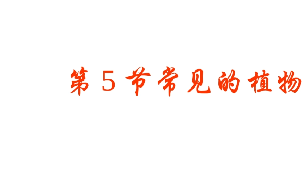 【名校课时通】2013-2014学年七年级科学上册 第2章 观察生物 第5节 常见的植物 没种子的植物（2）课件 浙教版
