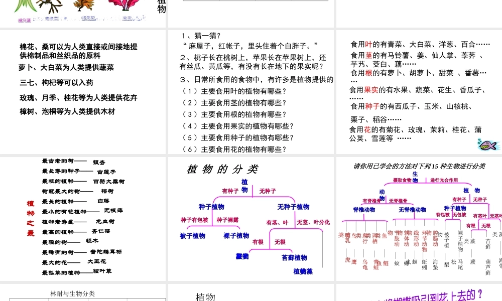 【名校课时通】2013-2014学年七年级科学上册 第2章 观察生物 第5节 常见的植物 没种子的植物（2）课件 浙教版