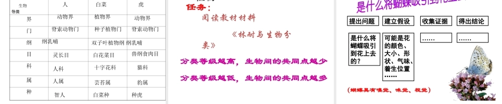【名校课时通】2013-2014学年七年级科学上册 第2章 观察生物 第5节 常见的植物 没种子的植物（2）课件 浙教版