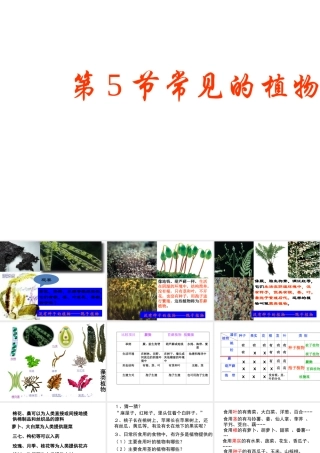 【名校课时通】2013-2014学年七年级科学上册 第2章 观察生物 第5节 常见的植物 没种子的植物（2）课件 浙教版