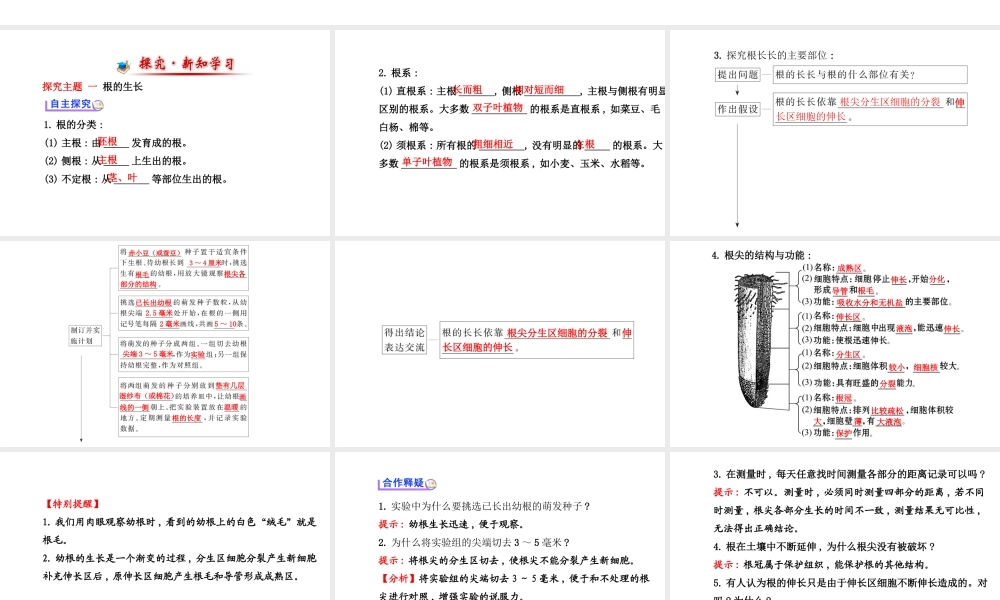 【金榜学案】2014八年级生物上册 第四单元 第一章 第五节 根的结构与功能课件 济南版