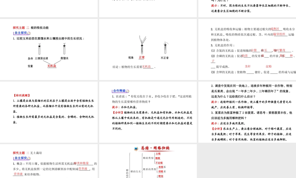 【金榜学案】2014八年级生物上册 第四单元 第一章 第五节 根的结构与功能课件 济南版