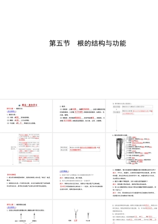 【金榜学案】2014八年级生物上册 第四单元 第一章 第五节 根的结构与功能课件 济南版