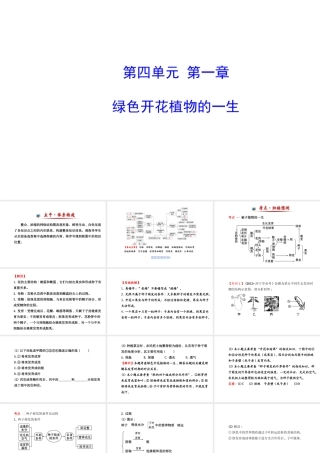 【金榜学案】2014八年级生物上册 第四单元 第一章 绿色开花植物的一生复习课件 济南版