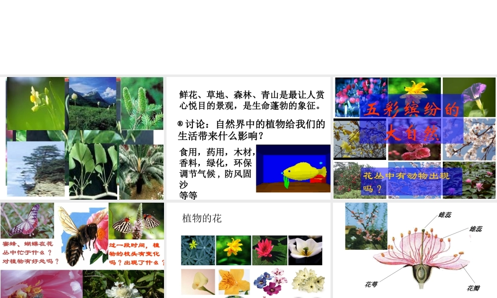 【名校课时通】2013-2014学年七年级科学上册 第2章 观察生物 第5节 常见的植物 种子植物（1）课件 浙教版