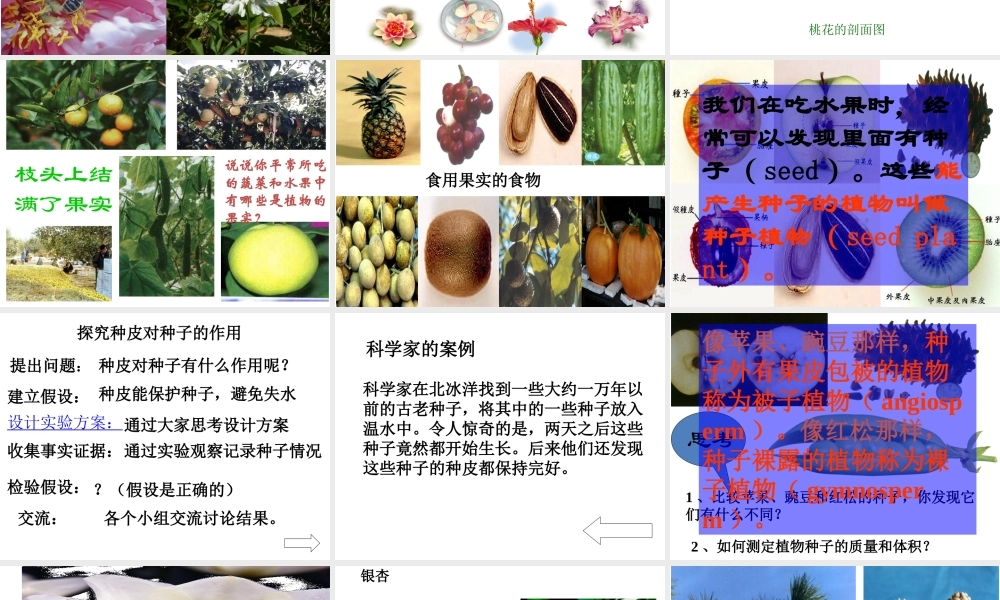 【名校课时通】2013-2014学年七年级科学上册 第2章 观察生物 第5节 常见的植物 种子植物（1）课件 浙教版