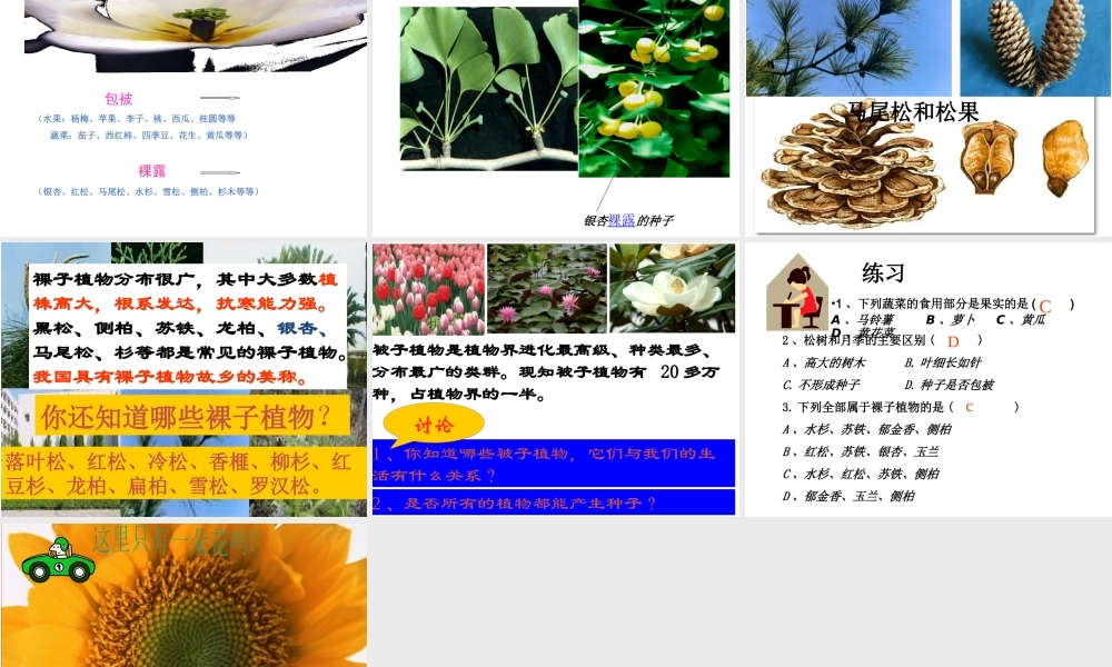 【名校课时通】2013-2014学年七年级科学上册 第2章 观察生物 第5节 常见的植物 种子植物（1）课件 浙教版