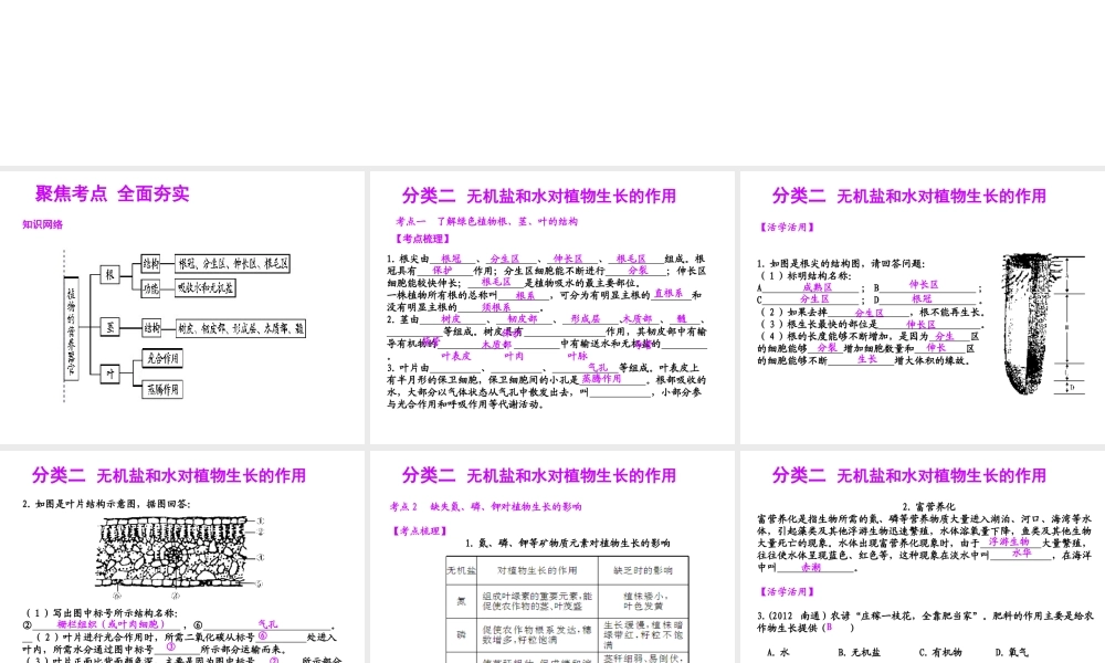 【聚焦中考】（浙江地区专版）2014中考科学总复习 第05讲  绿色植物的新陈代谢（二）课件（考点精讲+13中考真题）